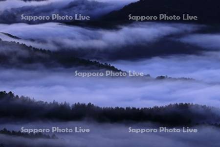 雲海の里かもい岳より朝の雲海