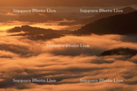 雲海の里かもい岳より朝焼けの雲海