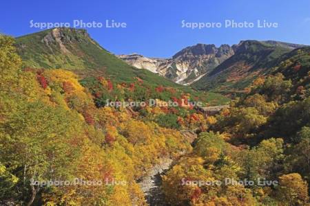 十勝岳温泉の紅葉と上ホロカメットク山