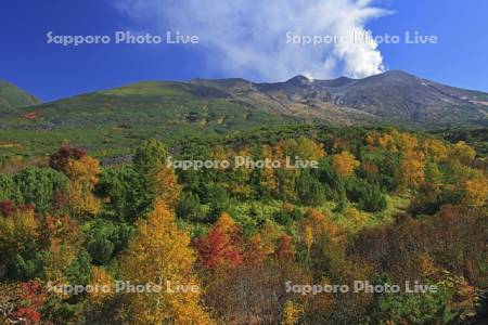 紅葉の望岳台より十勝岳