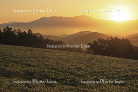 朝霧の丘と大雪山