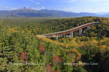 三国峠の紅葉と松見大橋R273