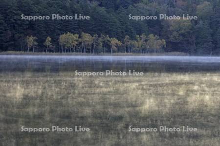 紅葉するオンネトー湖畔と朝もや