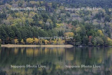 紅葉するオンネトー湖畔