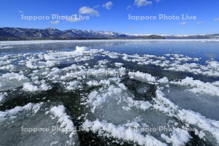 湖面を覆うフロストフラワーの屈斜路湖