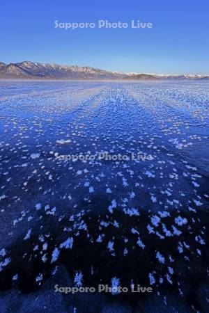 屈斜路湖の凍る湖面のフロストフラワー・霜の花