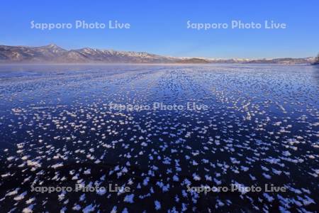 屈斜路湖の凍る湖面のフロストフラワー・霜の花