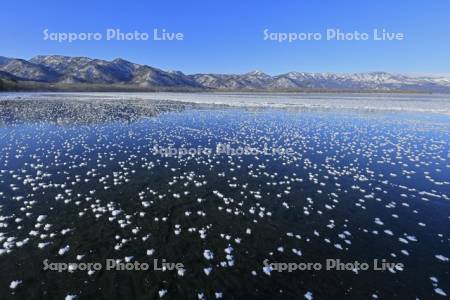 屈斜路湖の凍る湖面のフロストフラワー・霜の花