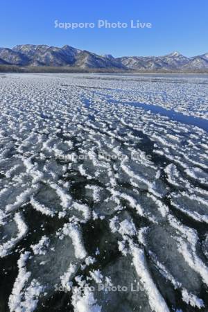 屈斜路湖の凍る湖面のフロストフラワー・霜の花