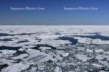オホーツク海の流氷