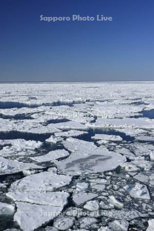 オホーツク海の流氷