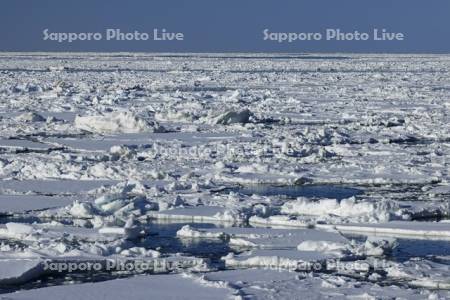 オホーツク海の流氷