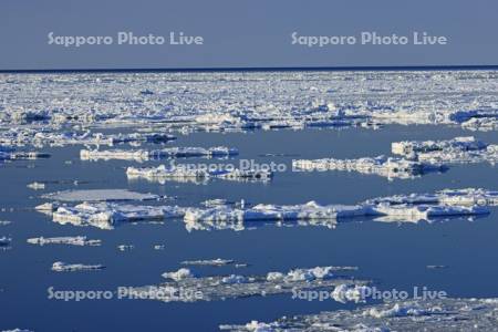 オホーツク海の流氷