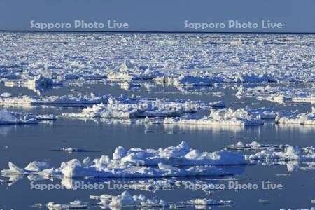 オホーツク海の流氷
