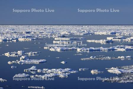 オホーツク海の流氷