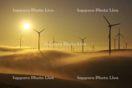 宗谷丘陵の風力発電と日の出