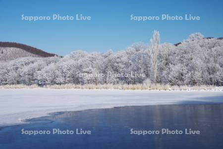 網走湖の樹氷
