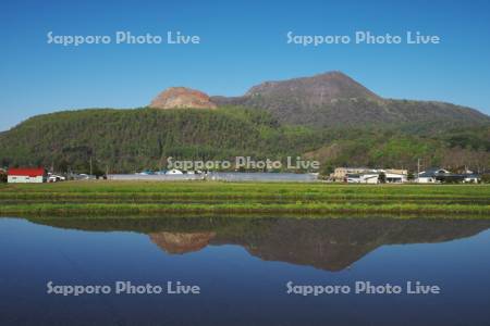 昭和新山と有珠山と水田