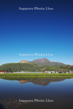 昭和新山と有珠山と水田