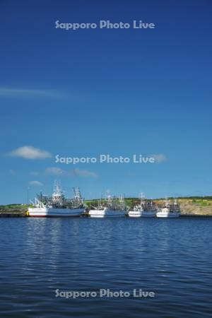 花咲漁港とサンマ漁船