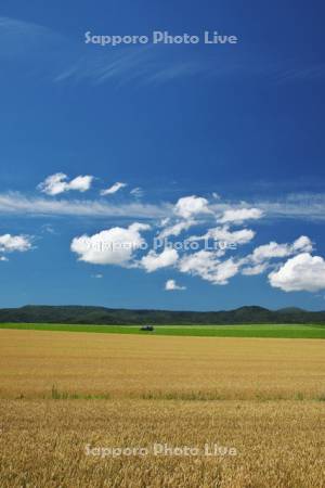 麦畑と雲とトラクター