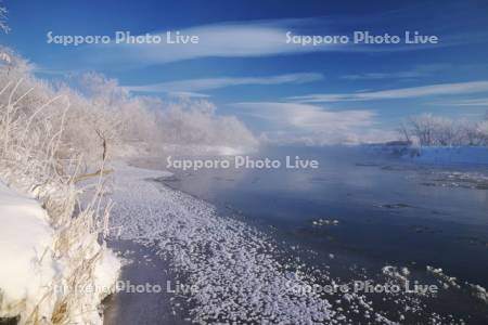 釧路川の樹氷とフロストフラワー