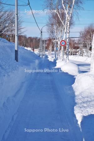 除雪された歩道