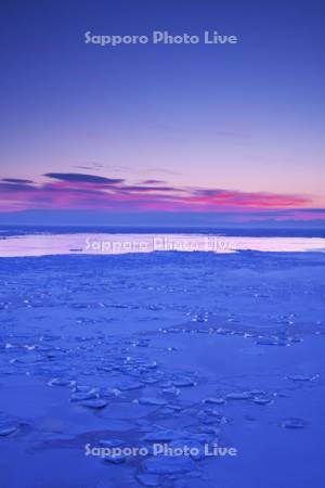 能取岬の朝と流氷