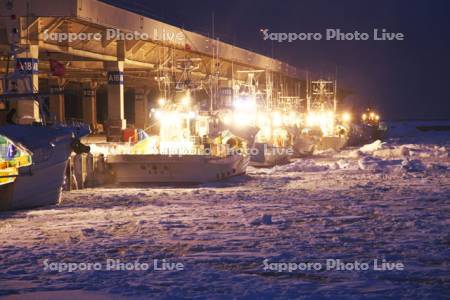 羅臼港のスケソウ船と朝の流氷