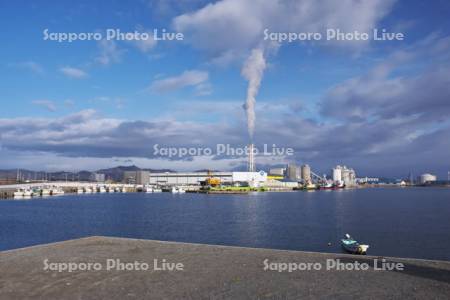 相馬港と新地発電所(中央)