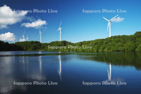 新田堤と風力発電