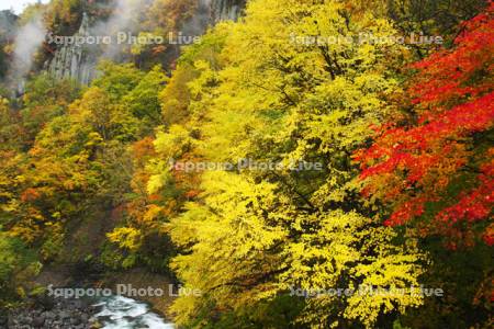天人峡の紅葉と忠別川