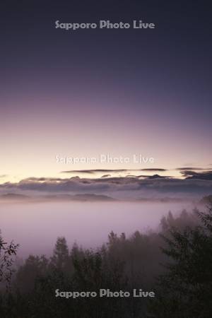 十勝岳連峰の朝と朝霧