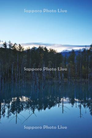 青い池と十勝岳連峰の朝