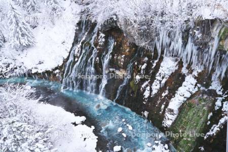 白ひげの滝の冬