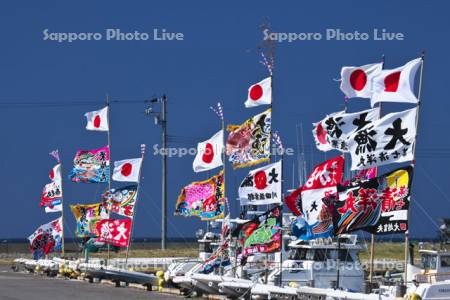 宗谷漁港の漁船と大漁旗