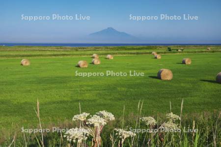 利尻島と日本海と牧草ロール