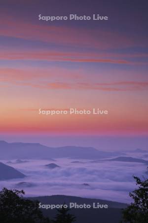 銀泉台の朝の雲海と大雪山
