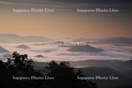銀泉台の朝の雲海と大雪山
