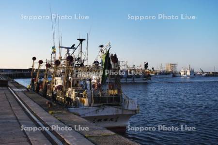 羅臼漁港とイカ釣り漁船