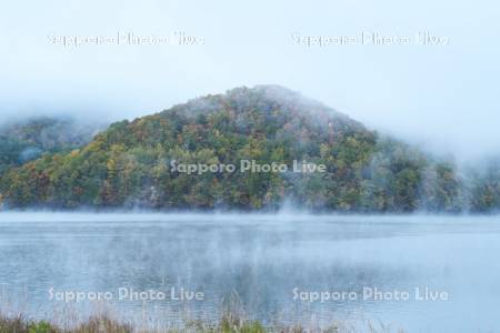 かなやま湖の紅葉と朝霧