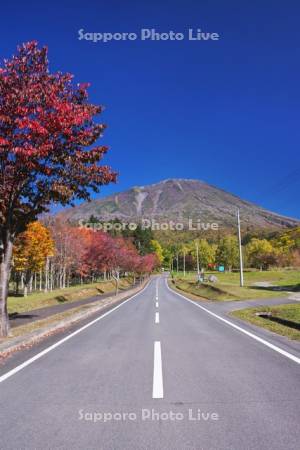 羊蹄山と羊蹄山自然公園の紅葉と道