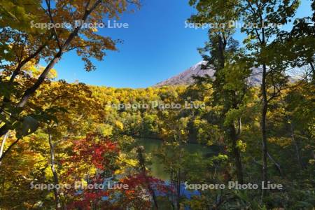 半月湖の紅葉と羊蹄山
