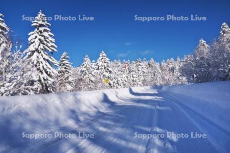 旭岳温泉付近の冬の道
