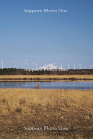 利尻島と天塩川と風力発電