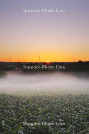 石狩川の河川敷の朝霧と日の出