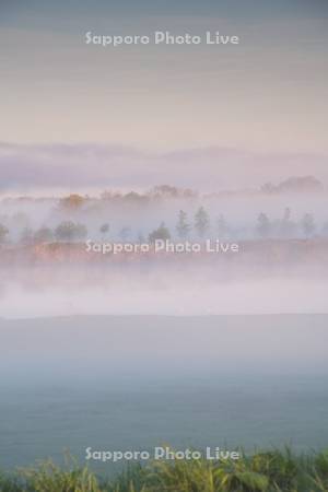 茨戸川の朝霧