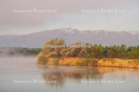茨戸川と朝霧