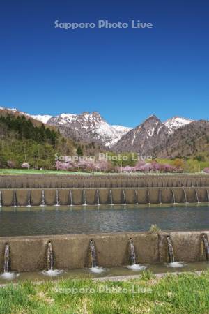 勇振川温水ため池と山部自然公園の桜と夕張山地