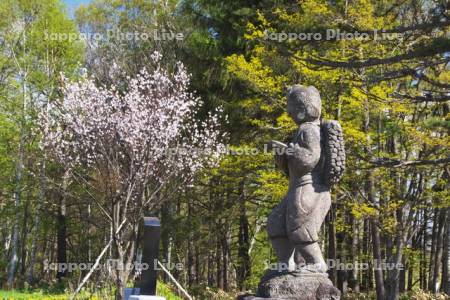 二宮金次郎の像と桜